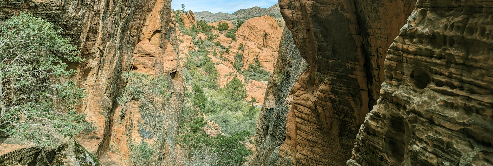 Red rocks of Southern Utah